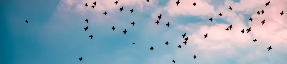 Himmel (Foto: Kenrick Mills) Himmel (Foto: Kenrick Mills)